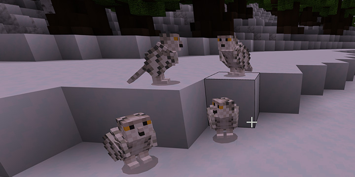 3 6